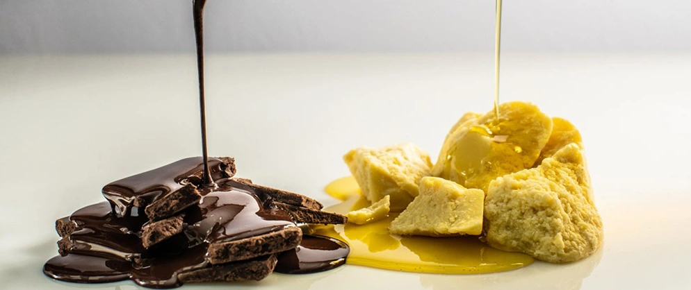 O cacau é alimento precioso, matéria prima para vários produtos como chocolate, óleos e manteigas
