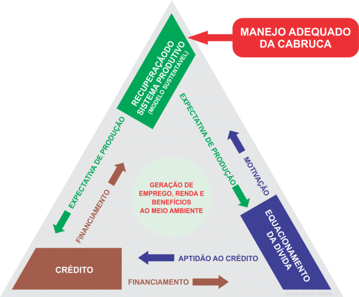 O Triângulo Virtuoso do Cacau